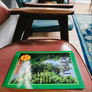 monroe-louisiana-iop-drug-rehab-nova-vital-recovery-program