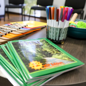 shreveport-louisiana-iop-drug-rehab-nova-vital-recovery-staff-vitaladventures-ciruculum-1-1